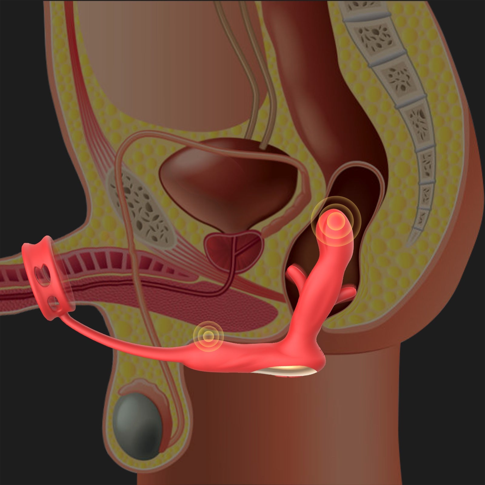 APP Remote Control Vibrating Prostate Massager Paloqueth-official APP Remote Control Vibrating Prostate Massager Paloqueth-official